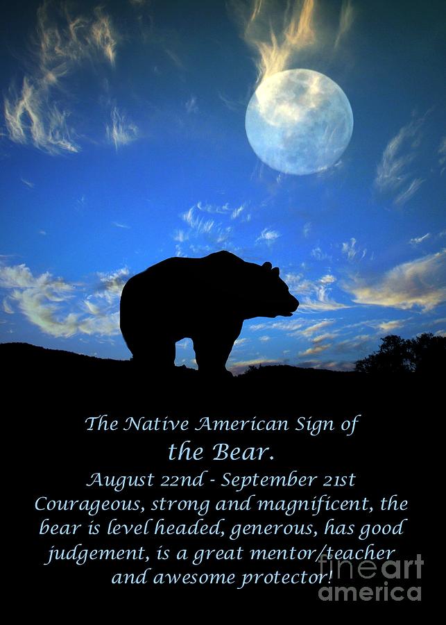 The Native American Zodiac Sign Of The Bear Photograph By Stephanie