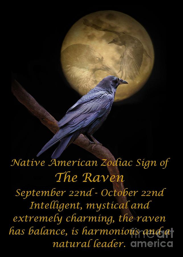 the-native-american-zodiac-sign-of-the-raven-photograph-by-stephanie-laird