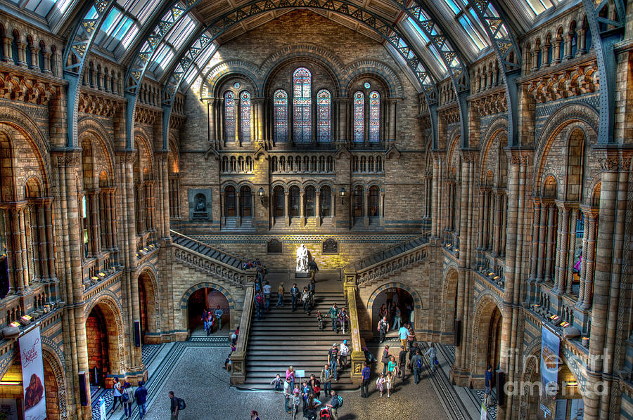 The Natural History Museum London UK Photograph by Donald Davis