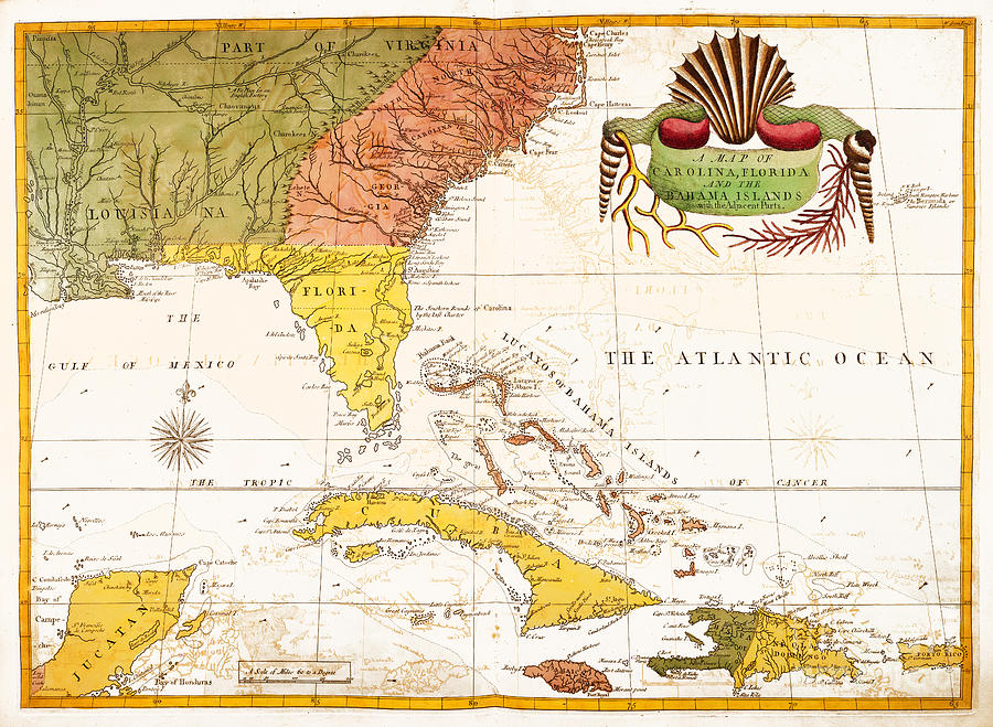 The natural history of Carolina, Florida, and the Bahama Islands Painting by Celestial Images