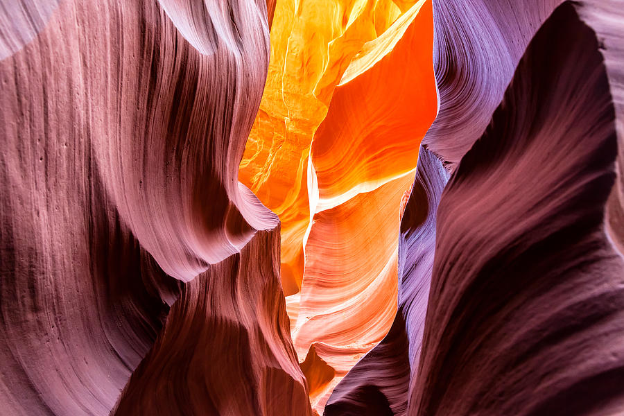 The Natural Sculpture 2 Photograph by Jonathan Nguyen