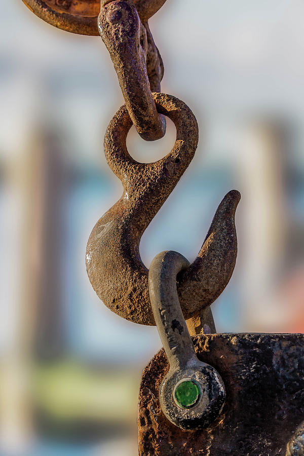 The Nautical Hook by Janet Argenta