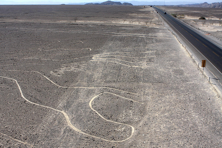 The Nazca Lines Photograph by Aidan Moran