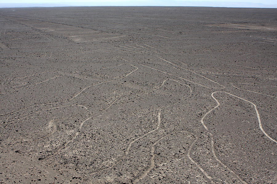 The Nazca Lines, Peru Photograph by Aidan Moran