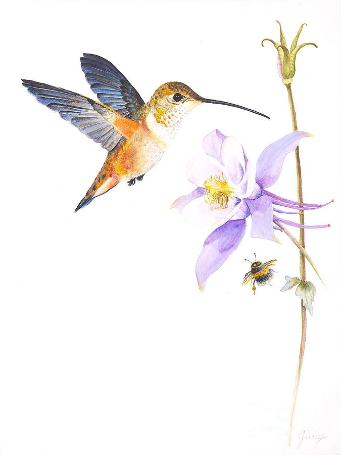 Hummingbird Painting - The Nectar Hunt by Jany Schindler Hummingbird Painting - The Nectar Hunt by Jany Schindler