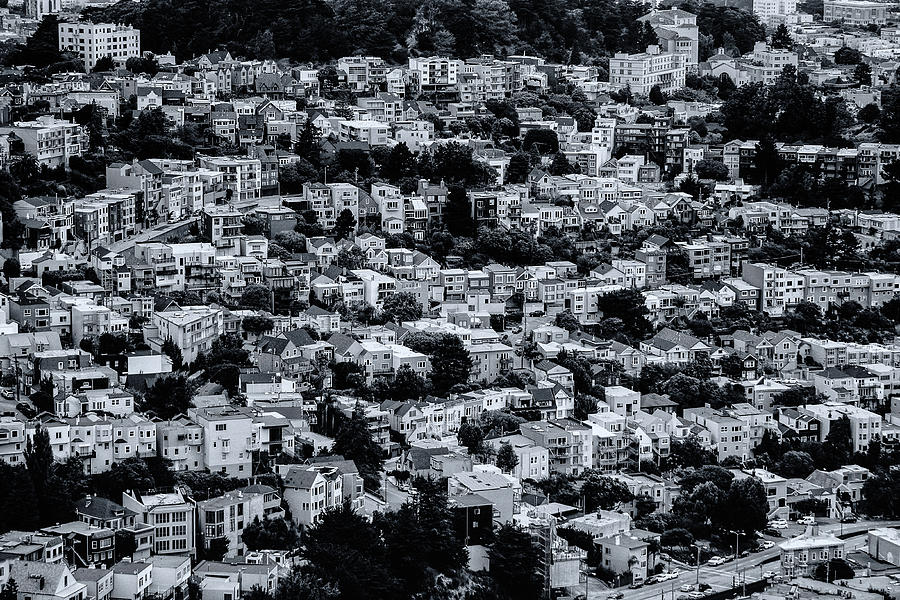 San Francisco Photograph - The Neighborhood by Emily Bristor San Francisco Photograph - The Neighborhood by Emily Bristor