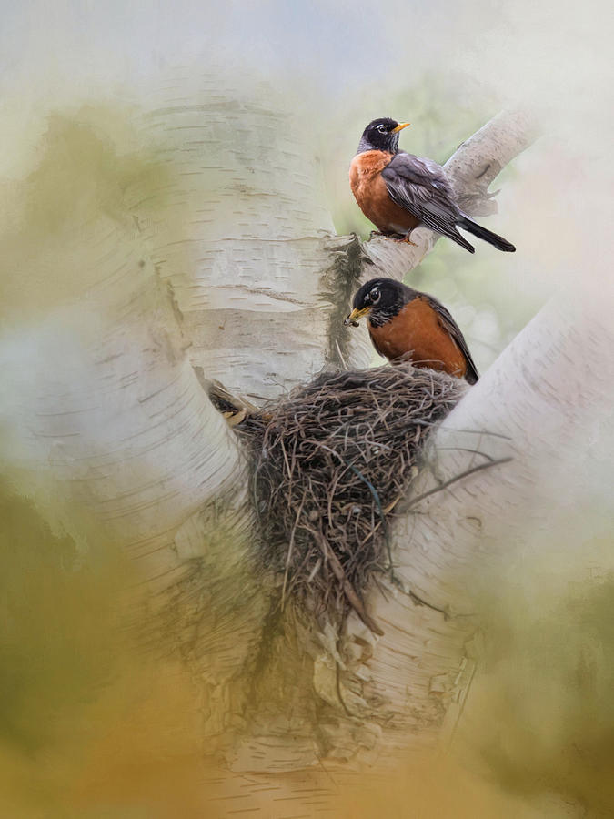 The Nest Photograph by Robin-Lee Vieira