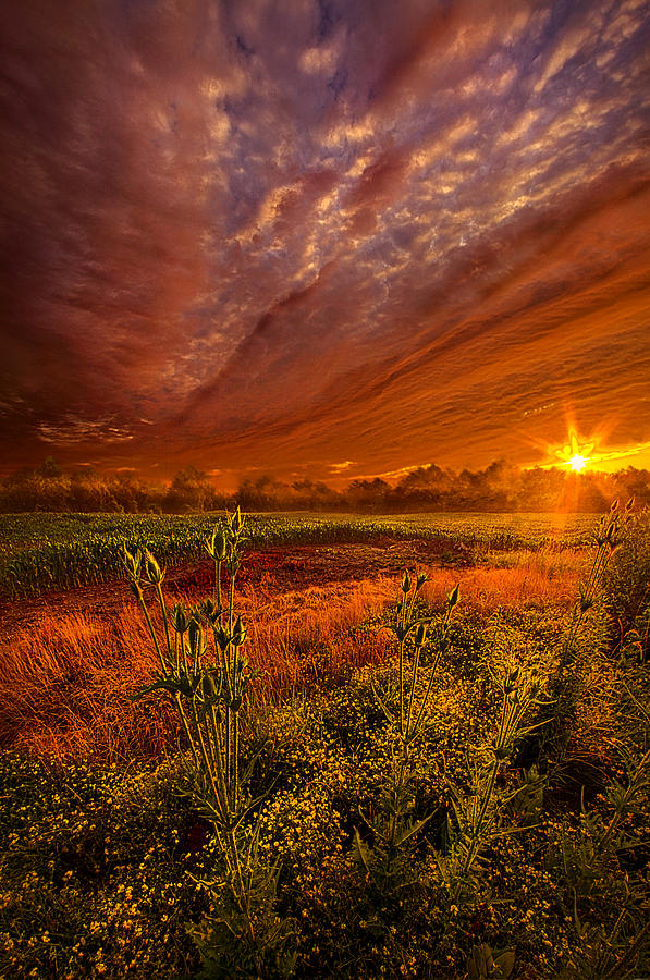 The Never Ending Story Photograph by Phil Koch
