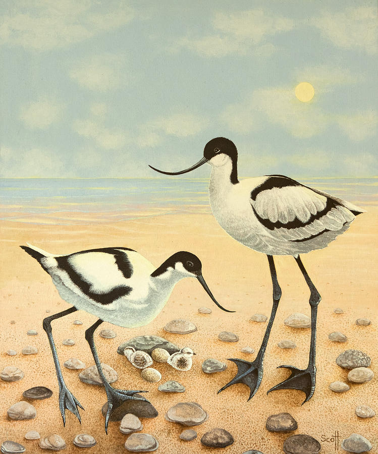 Bird Painting - The New Generation by Pat Scott