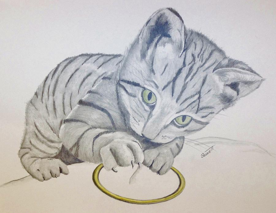 Kitten Sheela Drawing by Rick Bennett
