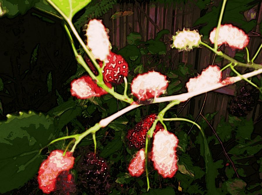 The New Mulberries by Winsome Gunning The New Mulberries by Winsome Gunning