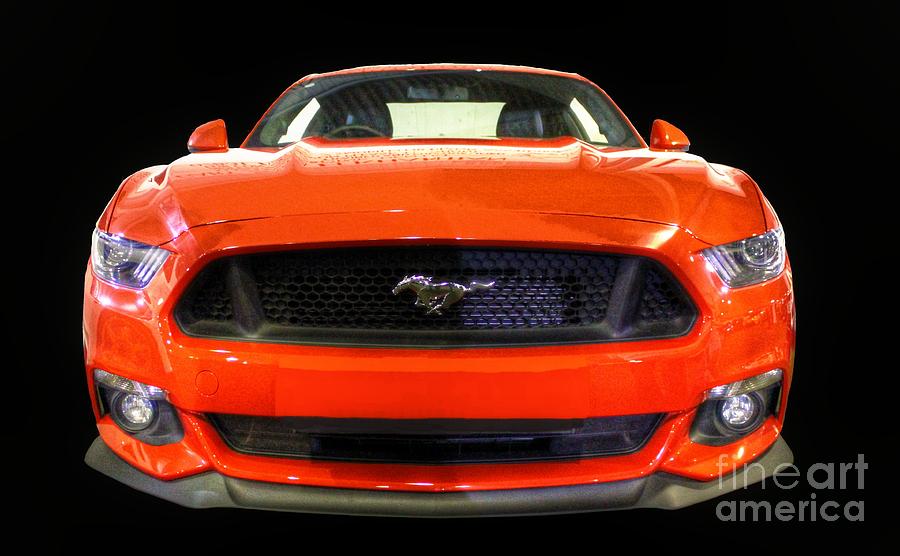 The New Mustang Photograph by Vicki Spindler