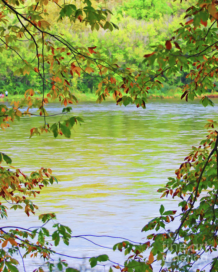The New River and Autumn Leaves Photograph by Kerri Farley
