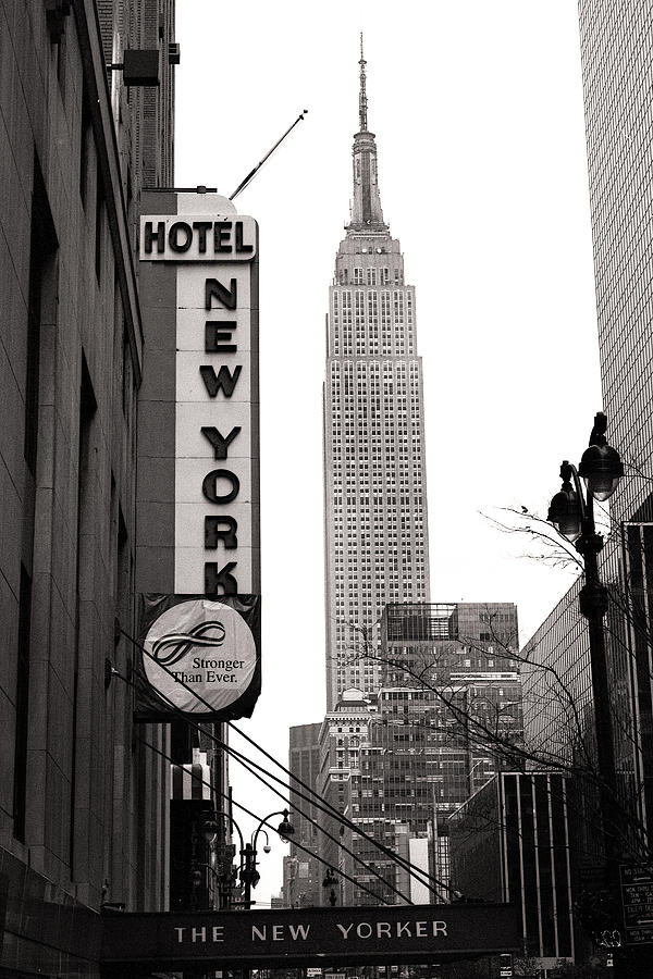 New York City Photograph - The New Yorker by Tonino Guzzo