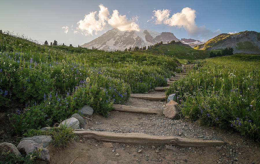 Mount Rainier National Park Photograph - The Next Step by Kristopher Schoenleber