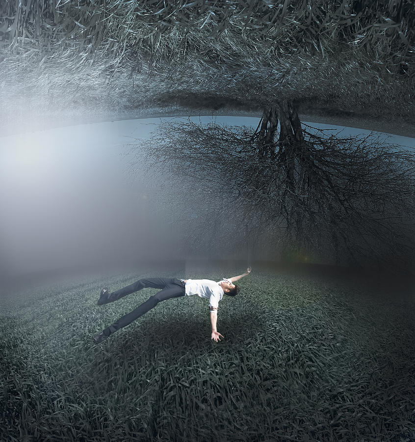 Tree Photograph - The Nightmare by Corneanu Daniel