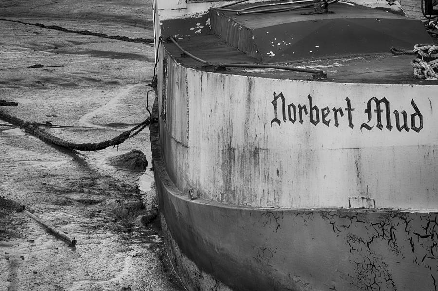 The Norbert in the Mud in Black and White Photograph by Leah Palmer