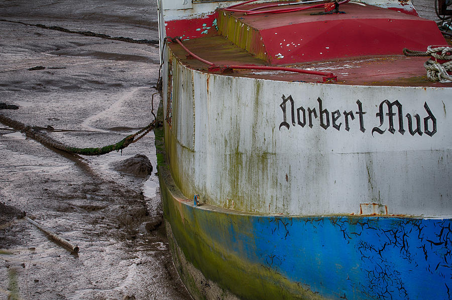 The Norbert in the Mud Photograph by Leah Palmer