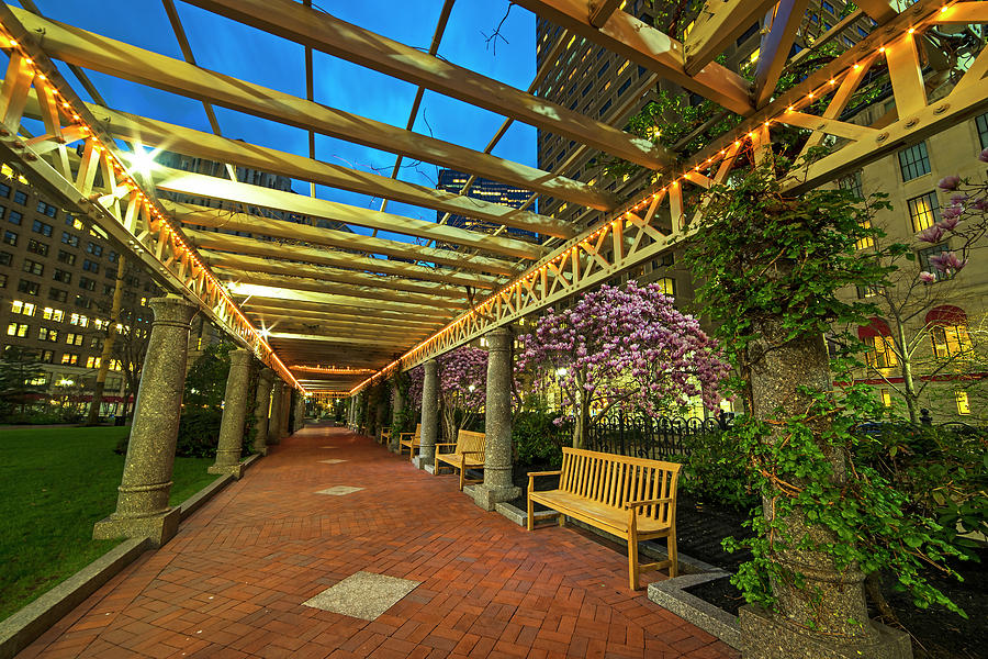 The Norman B Leventhal park on a spring night Boston MA Trellis Photograph by Toby McGuire