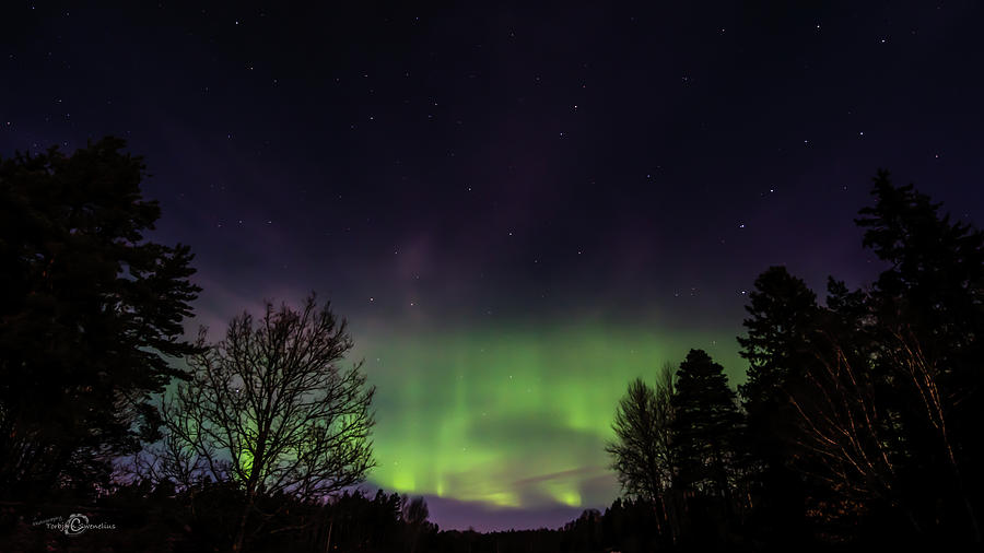The Northern Lights Aurora Borealis Photograph