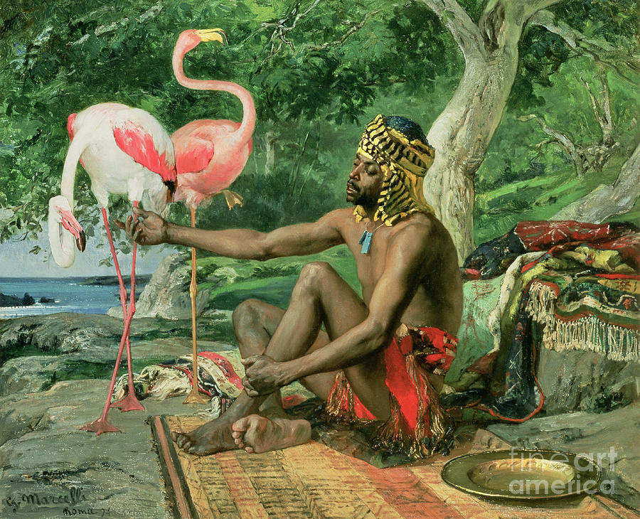 Flamingo Painting - The Nubian by Georgio Marcelli
