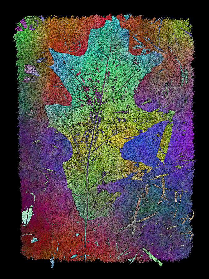 The Oak Leaf Digital Art by Tim Allen