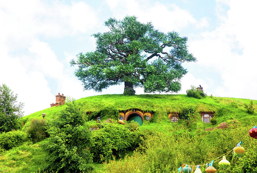 The Oak Tree at Bag End Photograph by Kathryn McBride