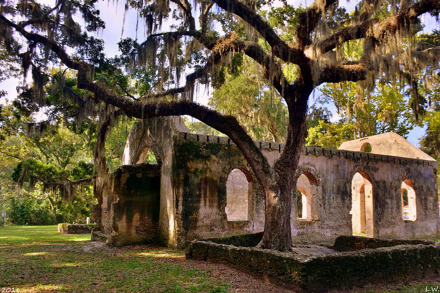 The Oaks At Chapel Of Ease St. Helena Island Beaufort SC Photograph by Lisa Wooten