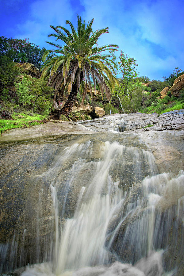 Waterfall Photograph - The Oasis  by Lynn Bauer