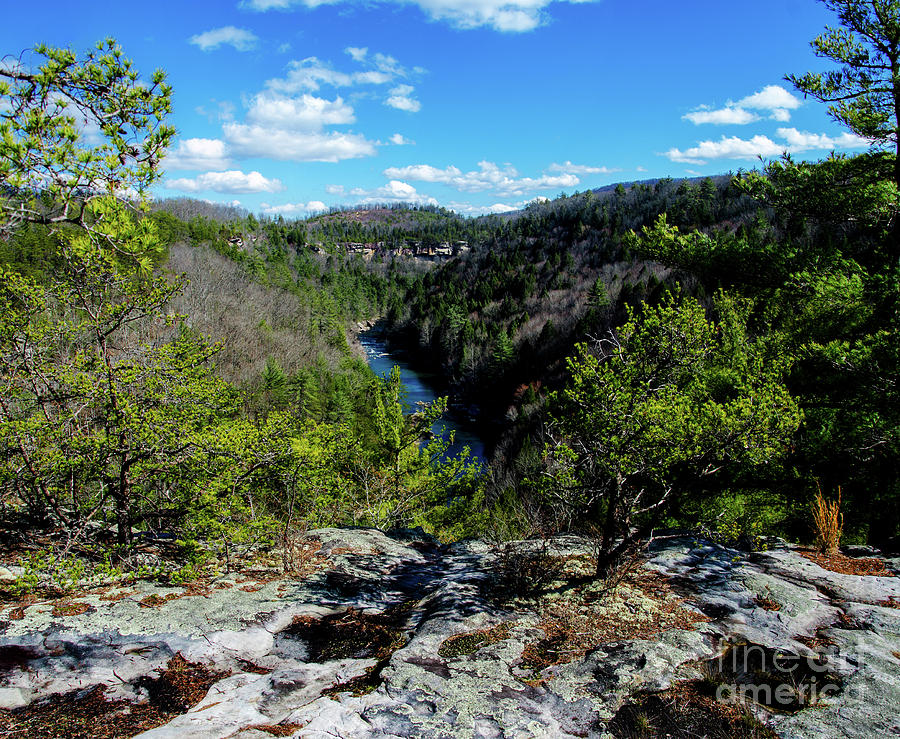 The Obed Wild and Scenic River Photograph by Paul Mashburn