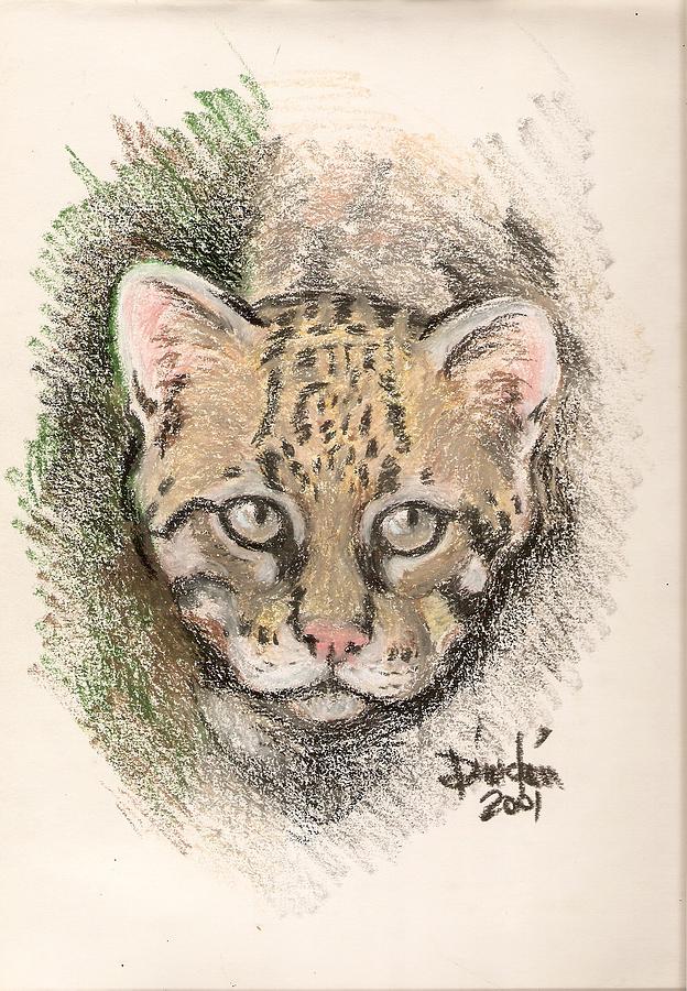 The Ocelot Drawing by Dindin Coscolluela