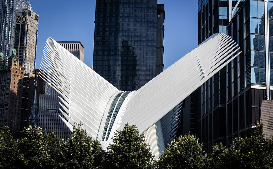 New York City Photograph - The Oculus Hub NYC by Robert Alsop