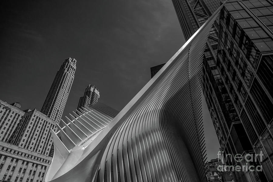 The Oculus Nyc Bw Photograph by Judy Wolinsky