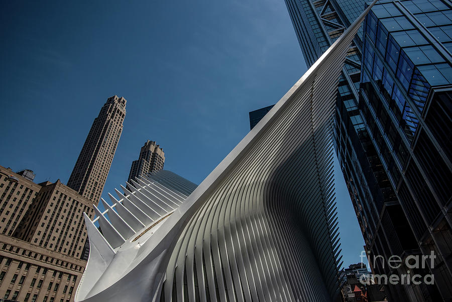 The Oculus Nyc Photograph by Judy Wolinsky