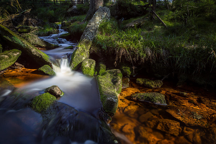 the Oder in the Harz National Park Photograph by Andreas Levi