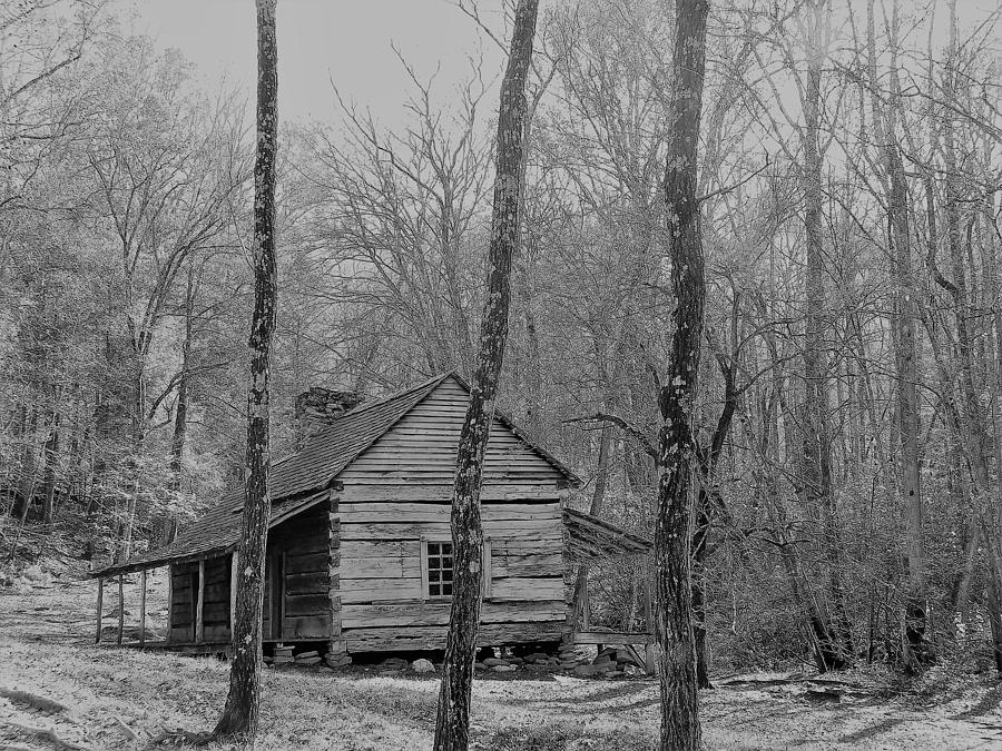 The Ogle's Cabin Photograph by Katy Schiller | Fine Art America