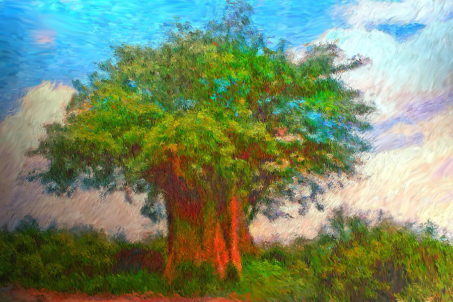Impressionism Painting - The Old Baobab Tree by Michael Durst