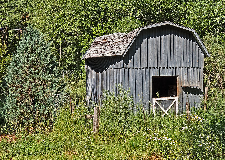 The Old Barn Photograph by T Guy Spencer