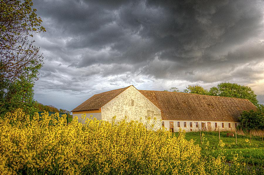 The Old Barn and the Rapeseed Field Photograph by Karen McKenzie McAdoo