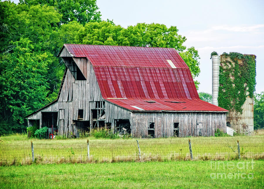 Tree Photograph - The Old Barn by Charles Dobbs