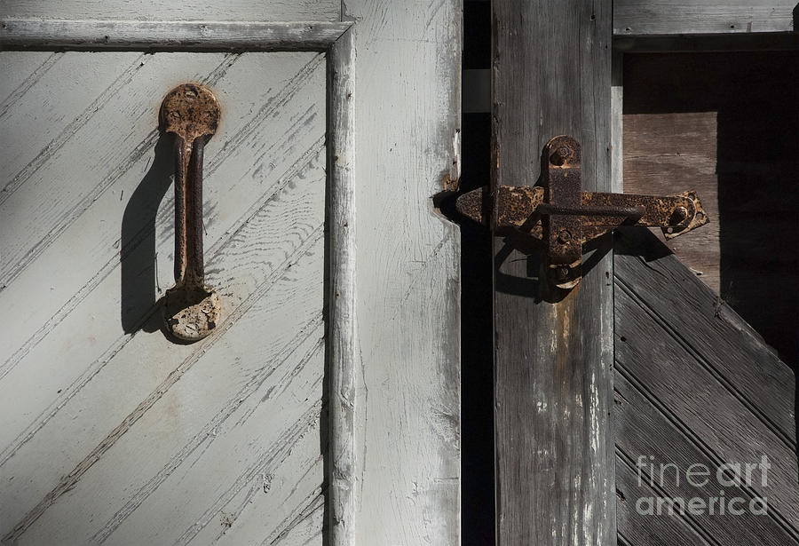 The Old Barn Door  Photograph by Debra Fedchin