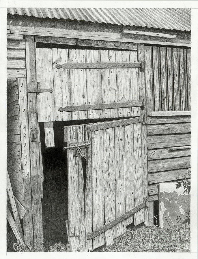 The Old Barn Door Drawing by Denny Adams