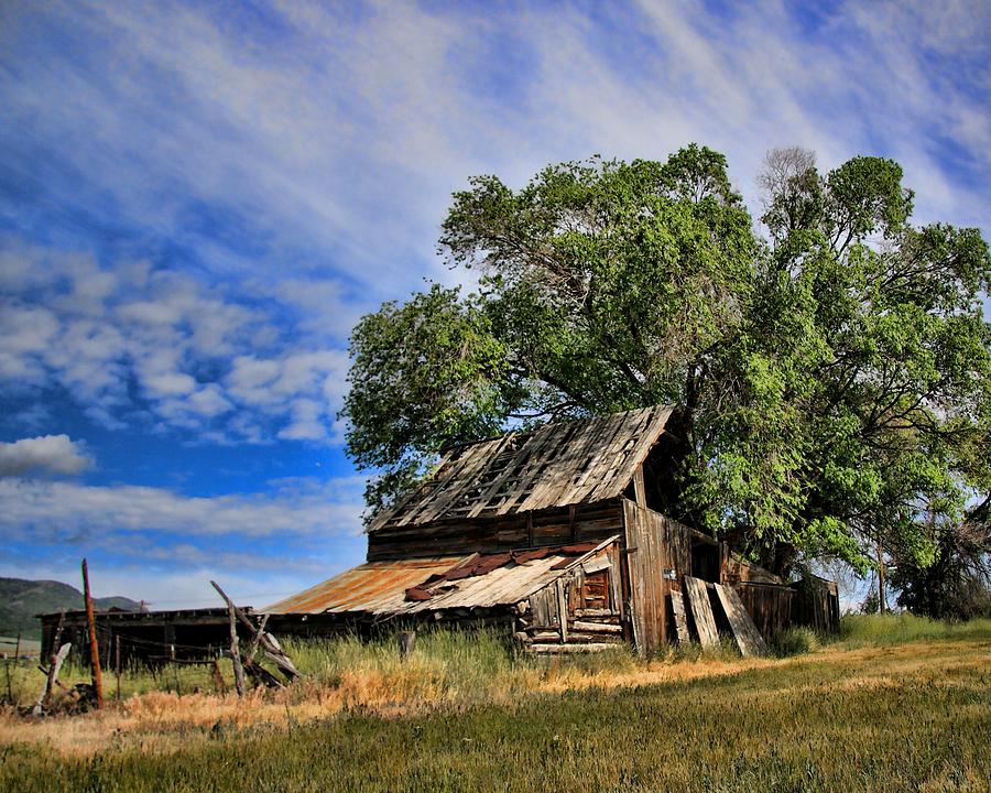 Old Photograph - The Old Barn by Gene Praag Old Photograph - The Old Barn by Gene Praag