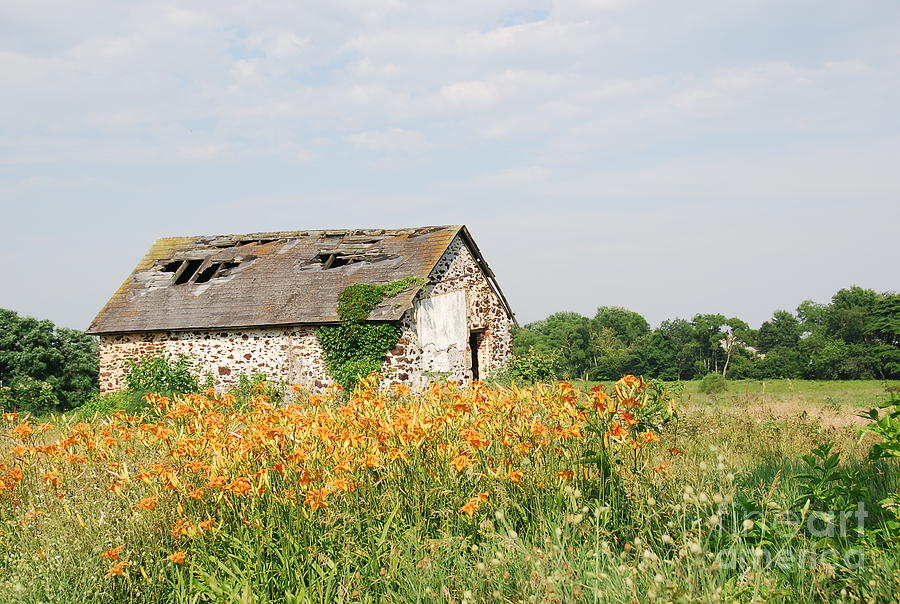 The Old Barn in Moorestown Photograph by Jan Daniels