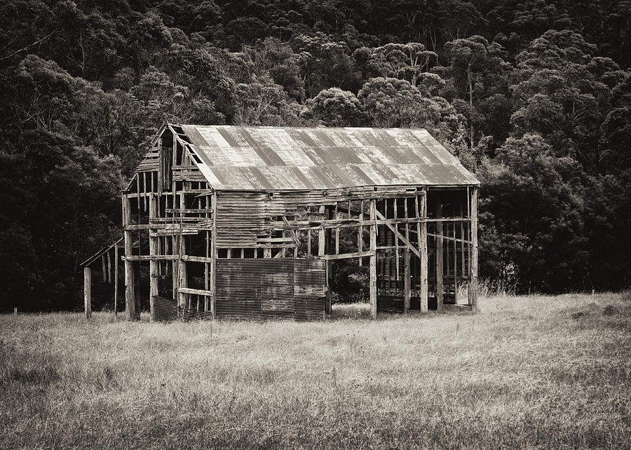 The Old Barn Photograph by Nicholas Blackwell