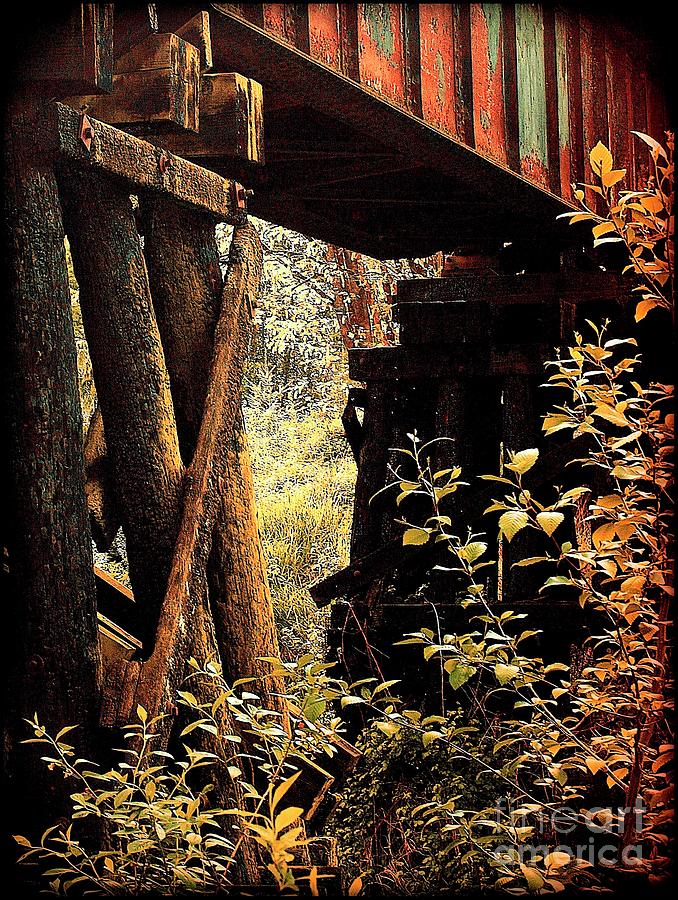 Railroad Bridge Photograph - The Old Train Bridge by Anne McDonald