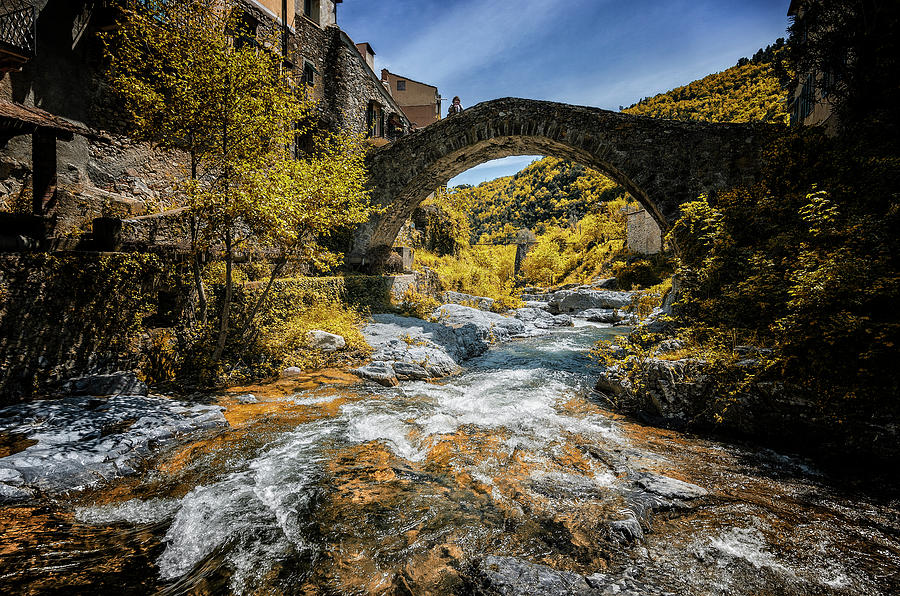 The old bridge Photograph by Livio Ferrari