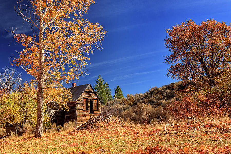 The Old Bunkhouse Landscape Photograph by James Eddy