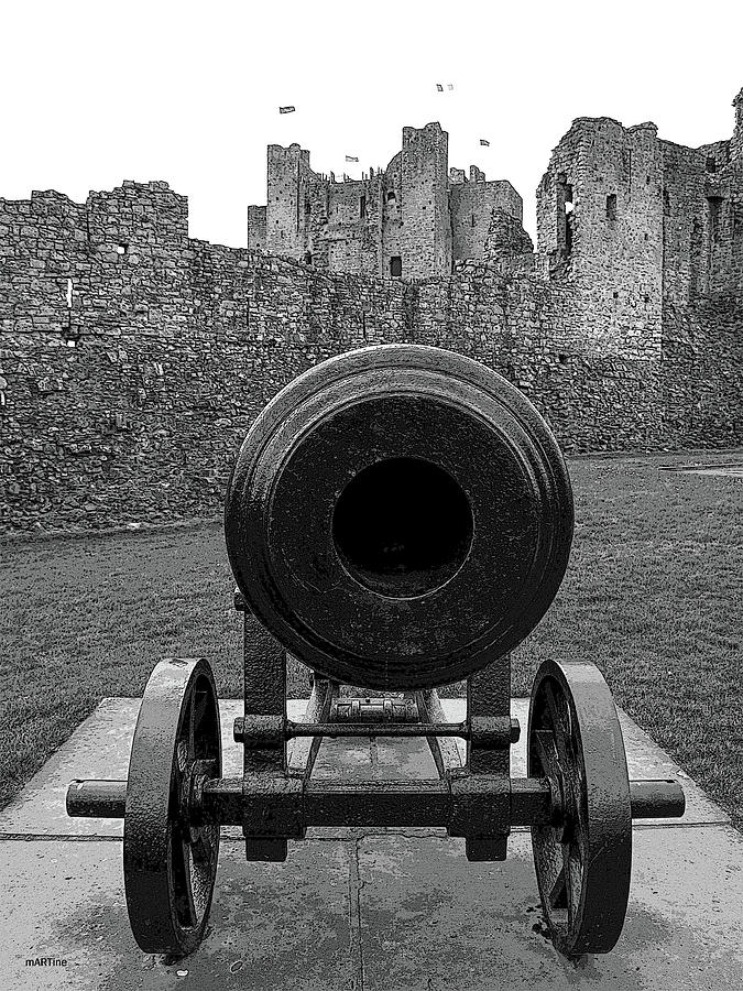 The Old Cannon Photograph by Martine Murphy