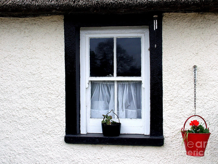 Flowers Still Life Photograph - The old cottage by Joe Cashin